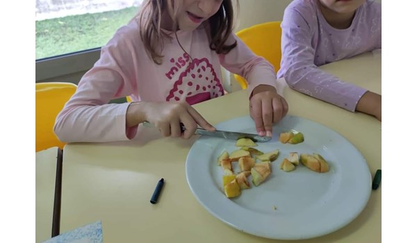 alimentacao6 alimentacao6