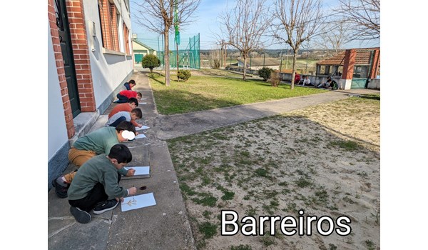 barreiros