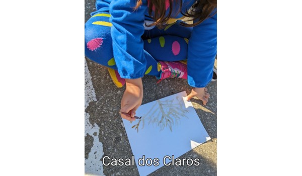 casal-dos-claros casal-dos-claros