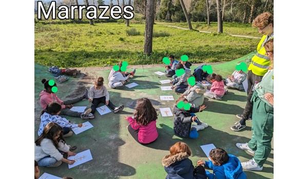 marrazes marrazes